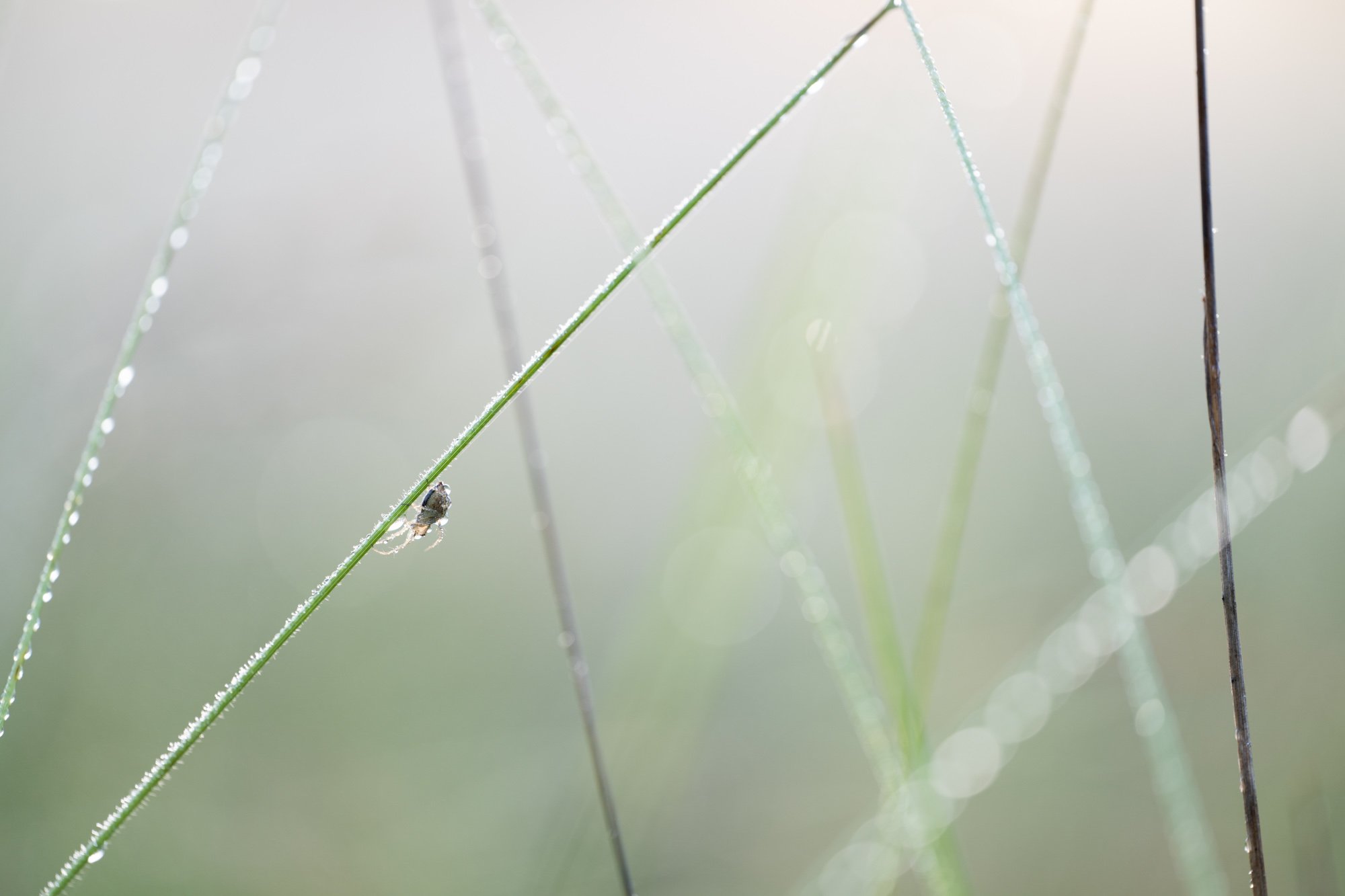 2026-06-13_06-19-33_C1.JPG