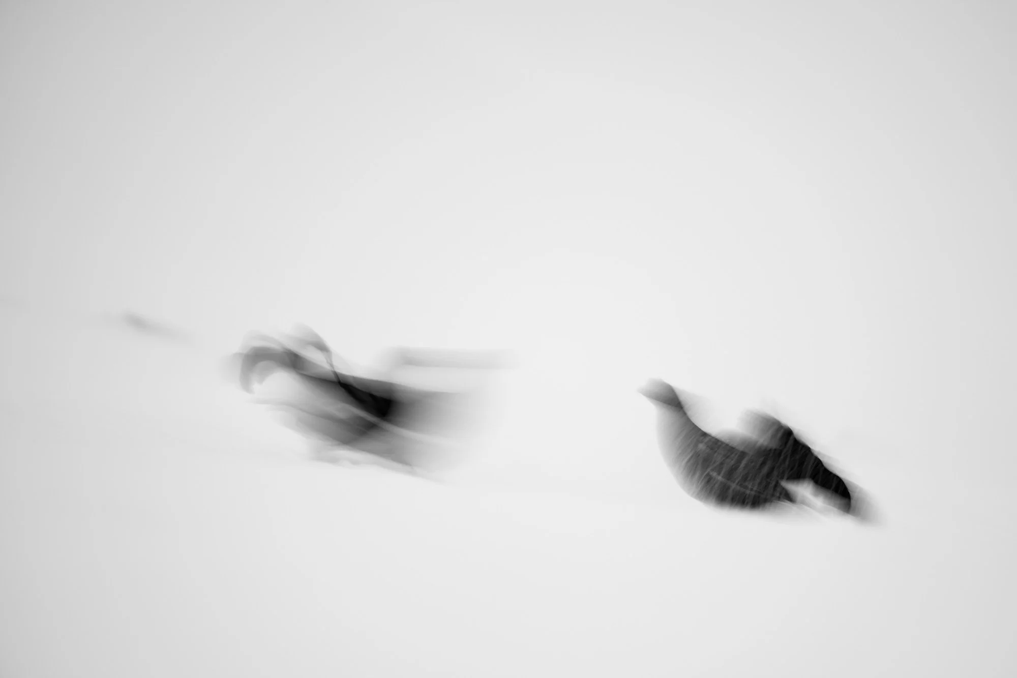 2026-05-16_05-51-47_C1.JPG