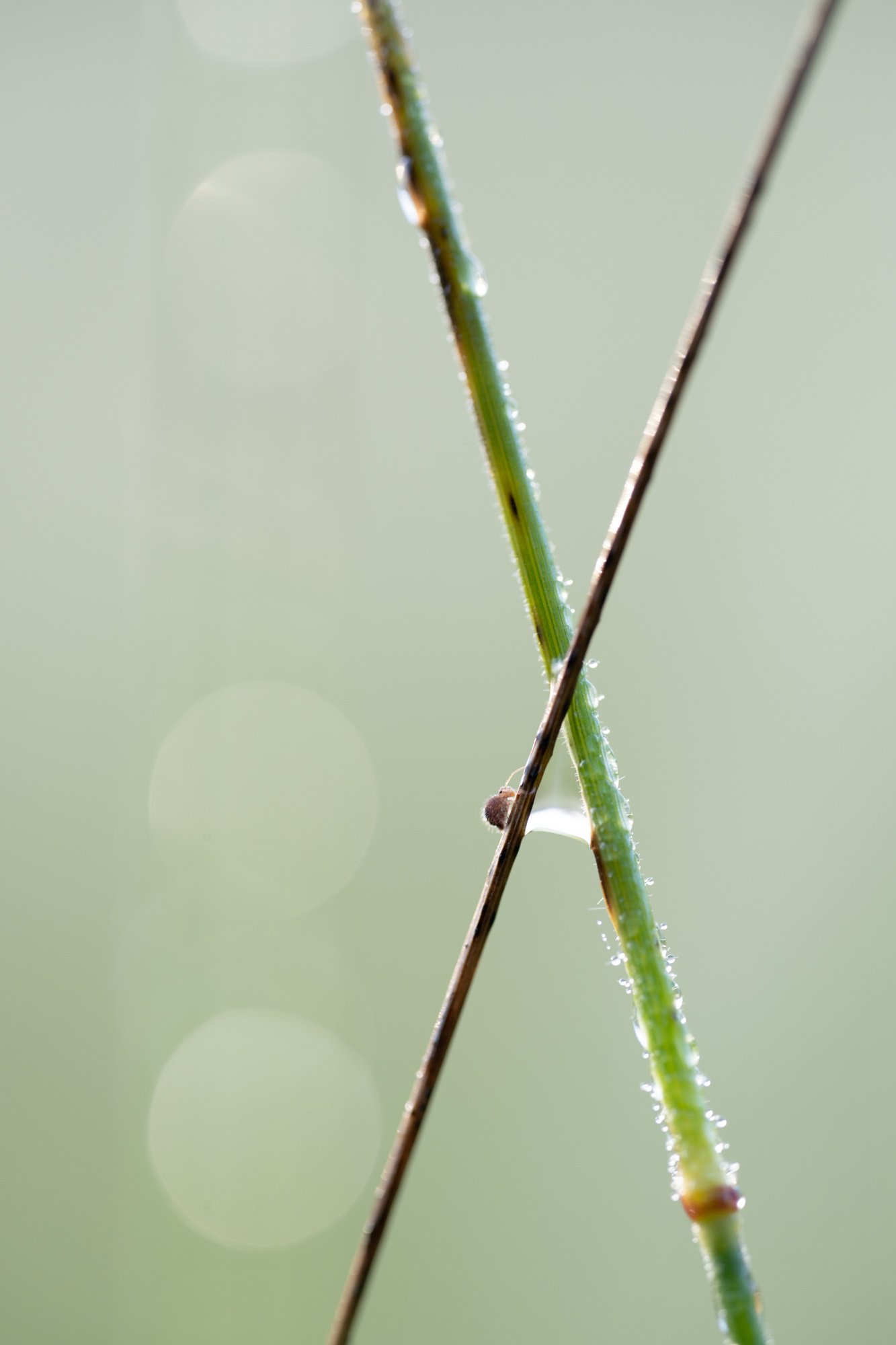 2026-06-08_06-42-00_C1.JPG