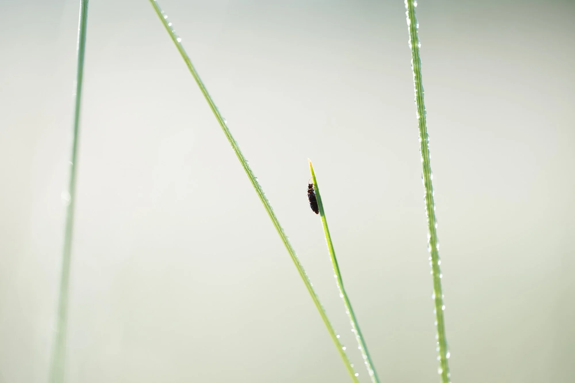 2026-06-08_06-57-32_C1.JPG