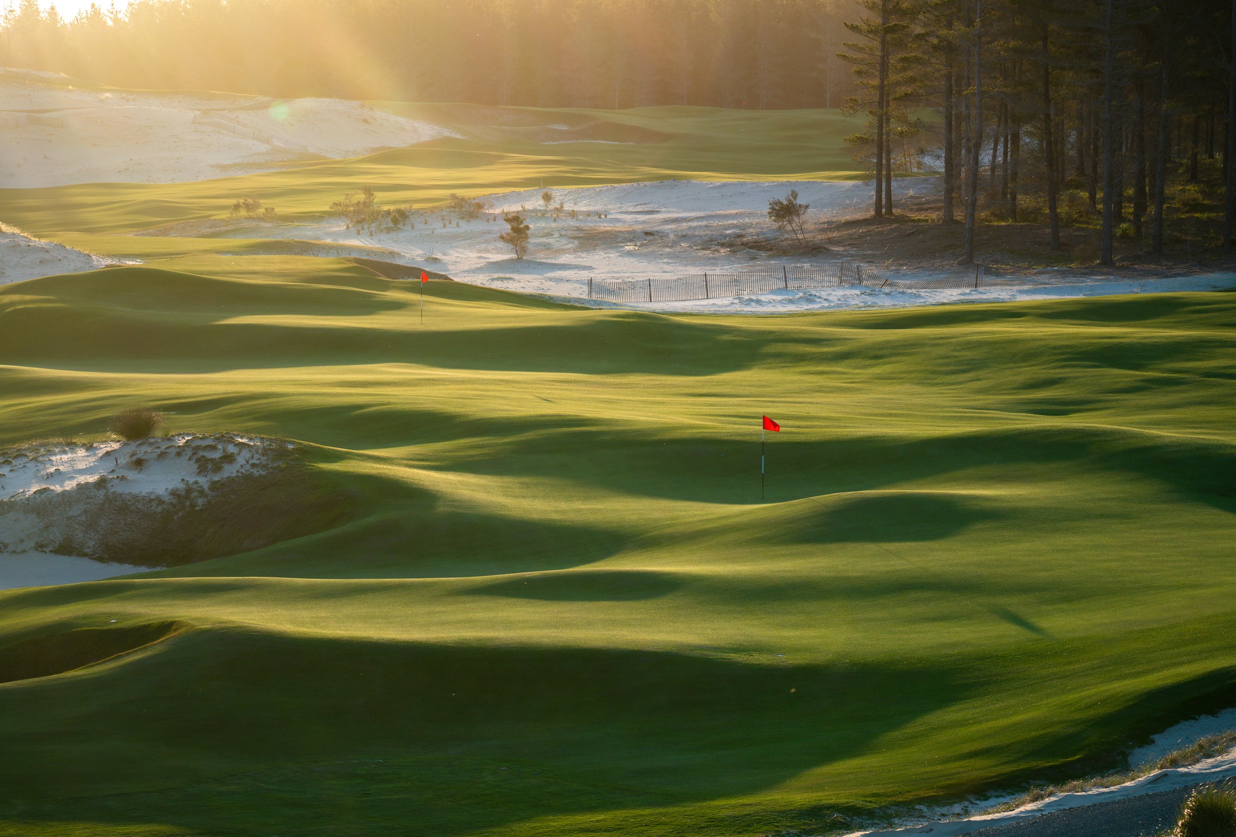 TAL_North_7and4green_RickyRobinson.jpg