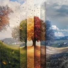 What Happens Inside the Body During Seasonal Transition