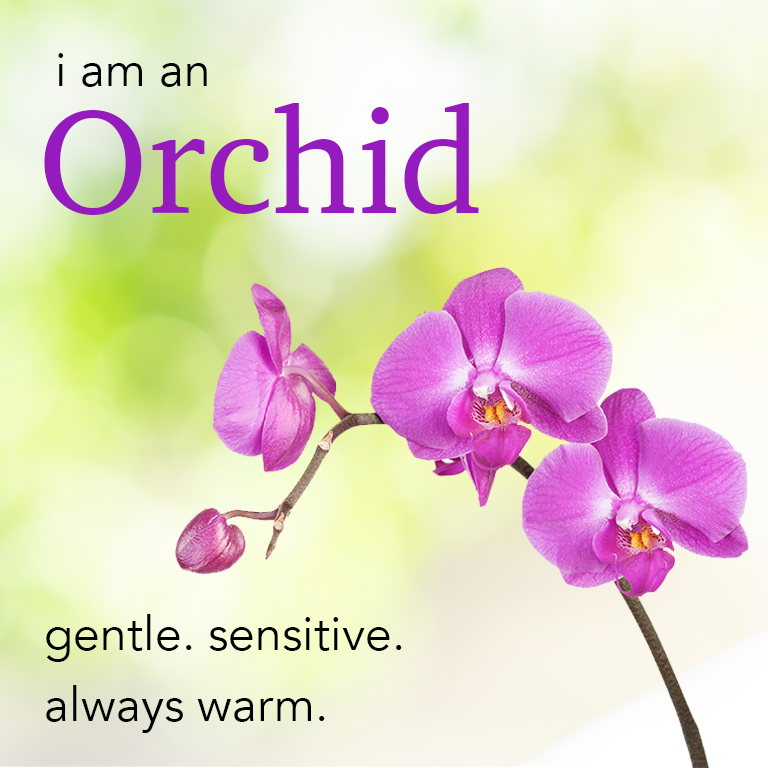 orchid.png
