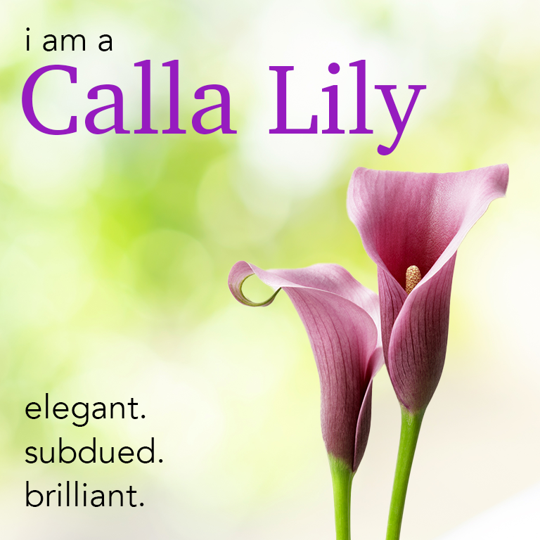 calla_lily.png