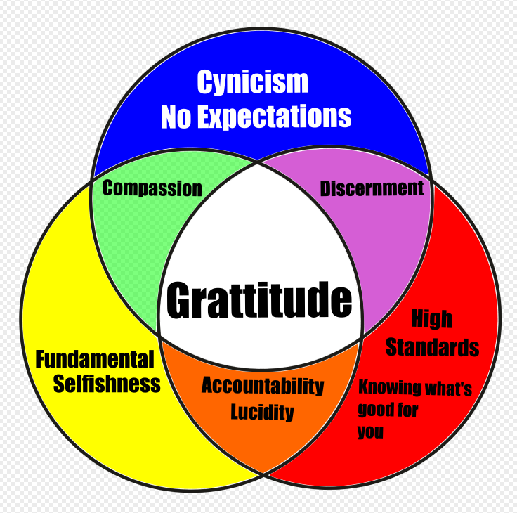 A Venn diagram with three overlapping circles labeled 'Cynicism No Expectations' (blue), 'Fundamental Selfishness' (yellow), and 'High Standards' (red). The intersections include 'Compassion' (green), 'Discernment' (purple), and 'Accountability Lucidity' (orange). The center, where all three circles intersect, is labeled 'Gratitude' in bold black text.