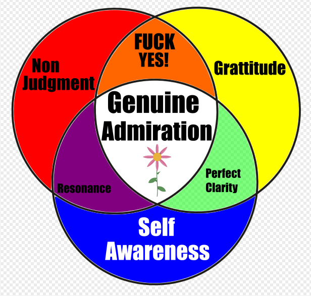 A Venn diagram with five overlapping circles labeled Non Judgment (red), F*** Yes! (orange), Gratitude (yellow), Self Awareness (blue), and Resonance (purple). The overlapping sections include terms like Resonance, Perfect Clarity, and F*** Yes! The center where all overlap is labeled G**u**ine Adm**i**ration with a pink flower icon.