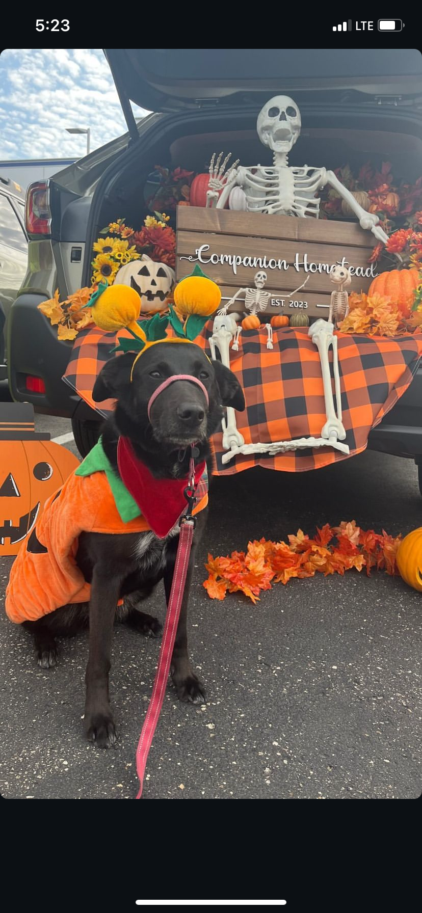 Howl-o-ween Event.PNG