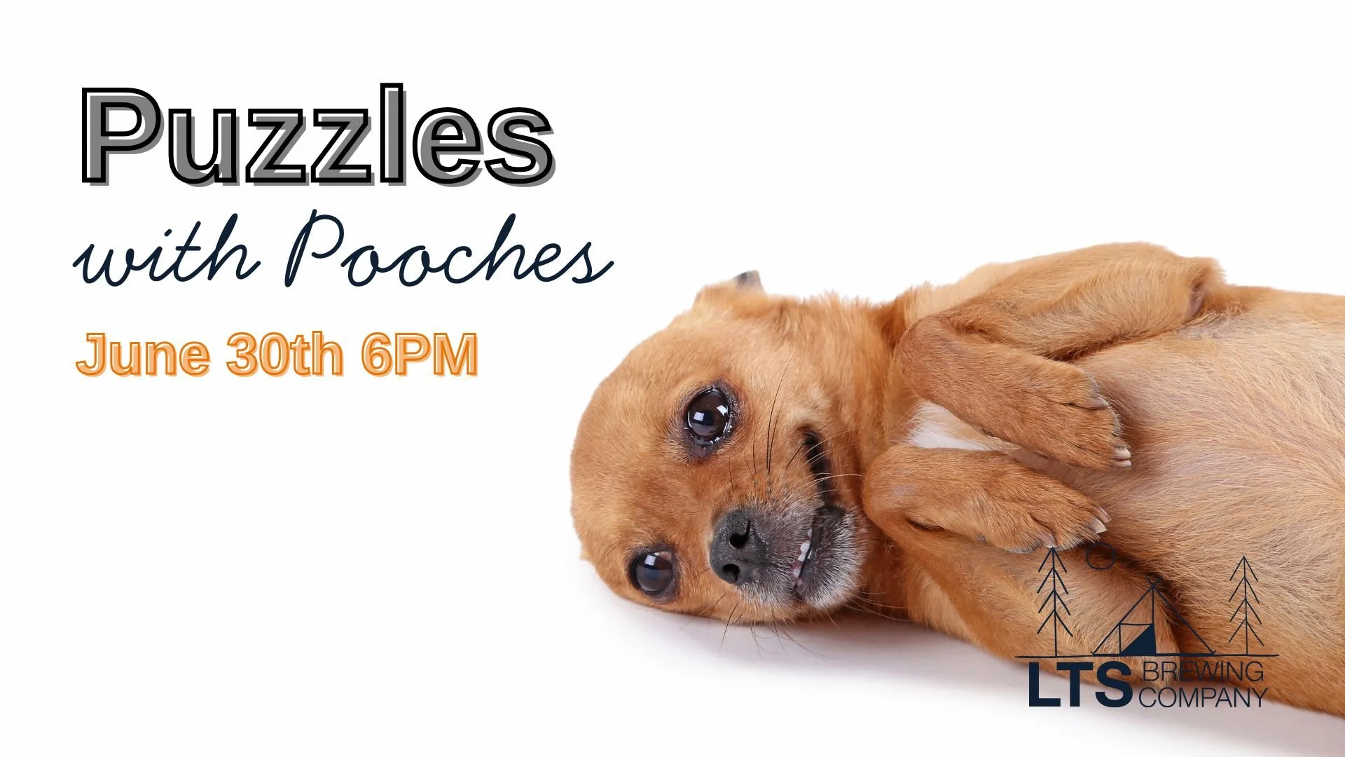 Puzzles with Pooches