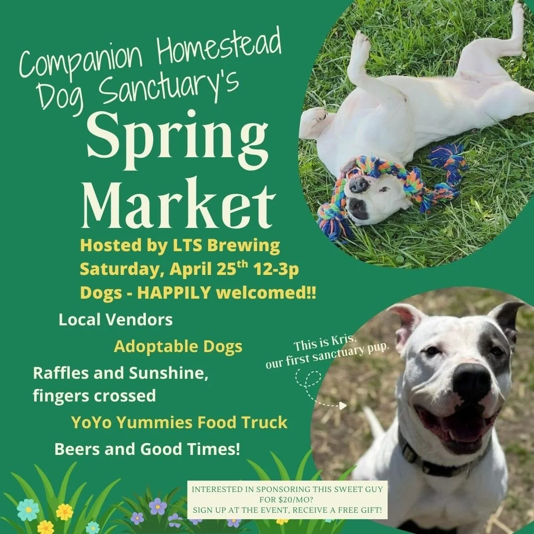 Spring Market @ LTS Brewing Co