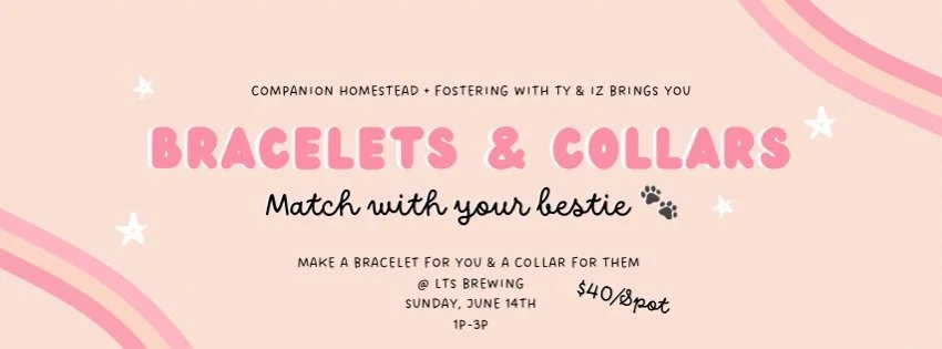 DIY Matching Bracelet + Collar