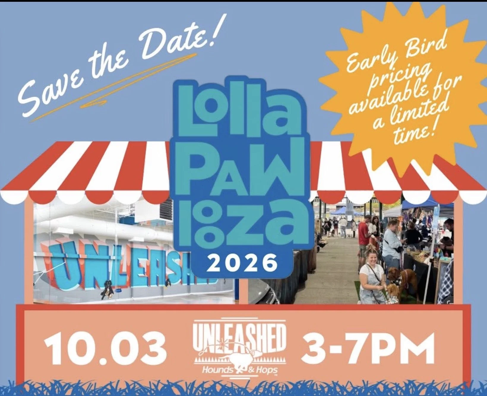 Lolla PAW Looza 