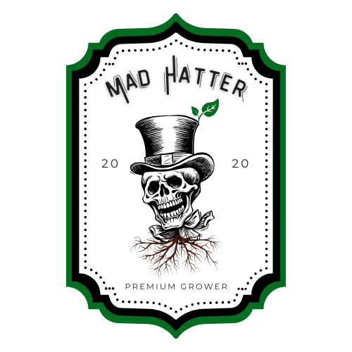 Mad Hatter Logo + Posts (5).png