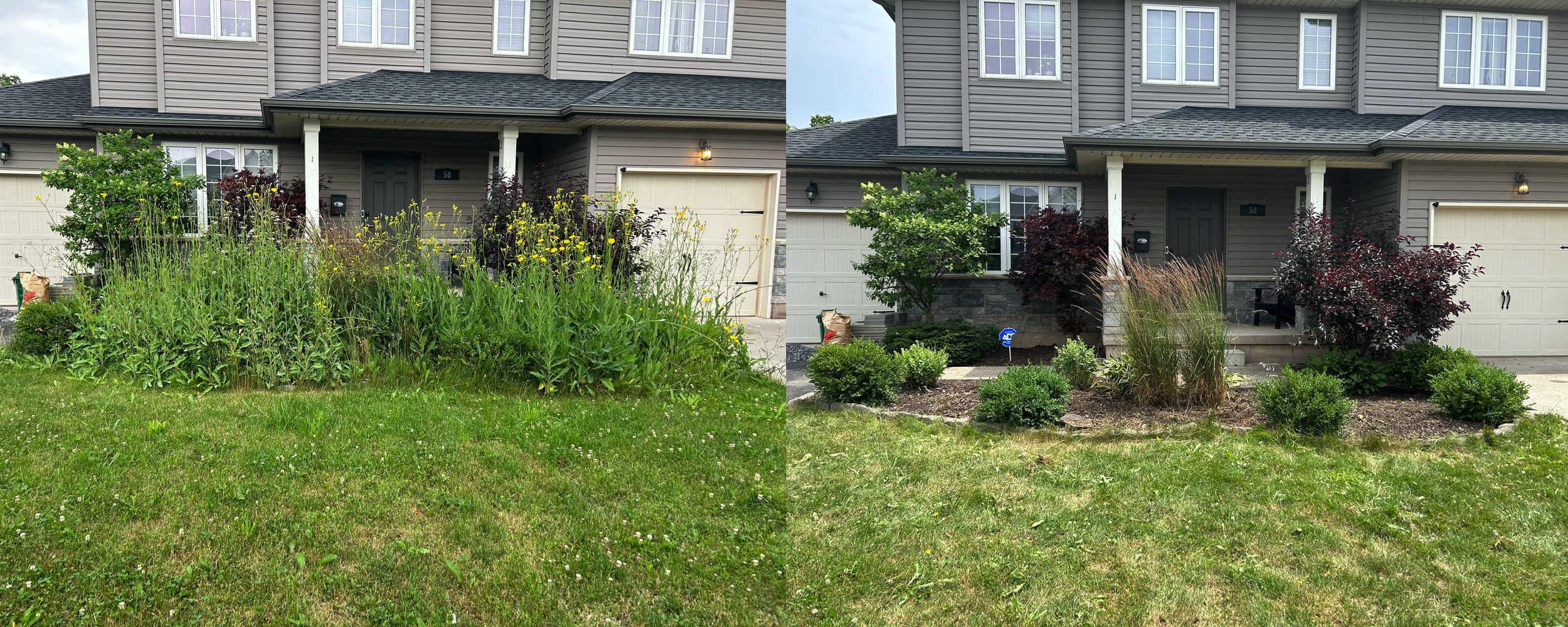 Side-by-side comparison of two front yards of a house, one overgrown with tall weeds and plants, and the other well-maintained with trimmed bushes and a clear lawn.