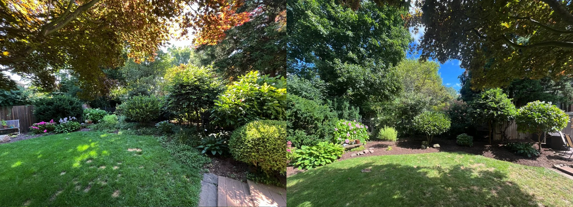 Comparison of a garden before and after weeding, showing lush green grass, freshly trimmed bushes, trees, and flowering plants with a wooden fence in the background.