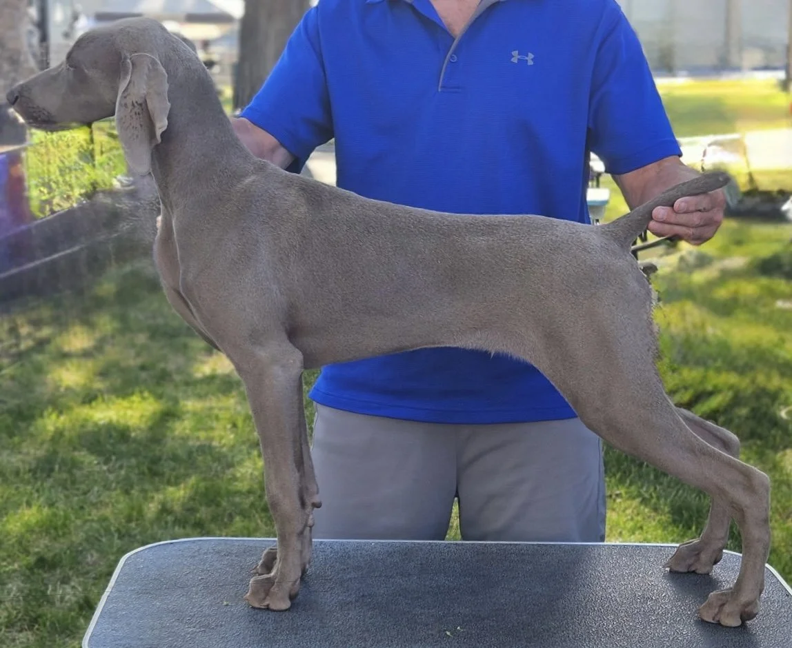 Sting 5 mos wtih Kevin 1.jpg