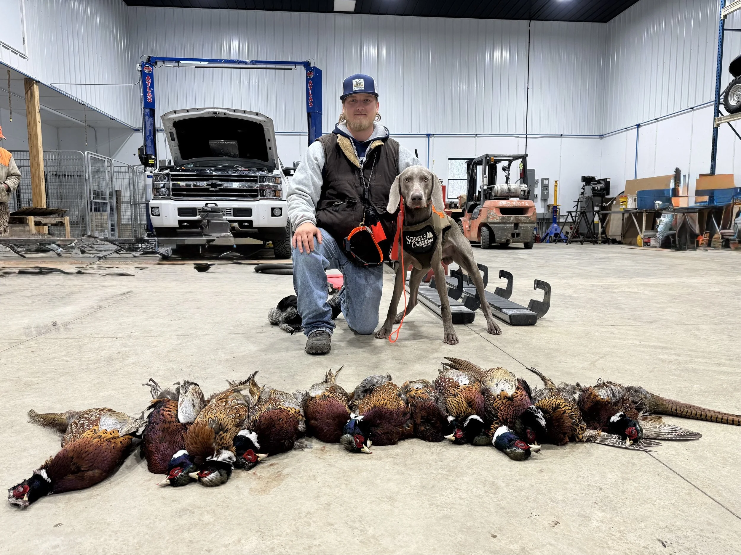 Jade and Capone hunting in Iowa Dec 25