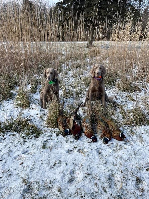 Iwo_Ferris_2021_Hunting_Season.jpg