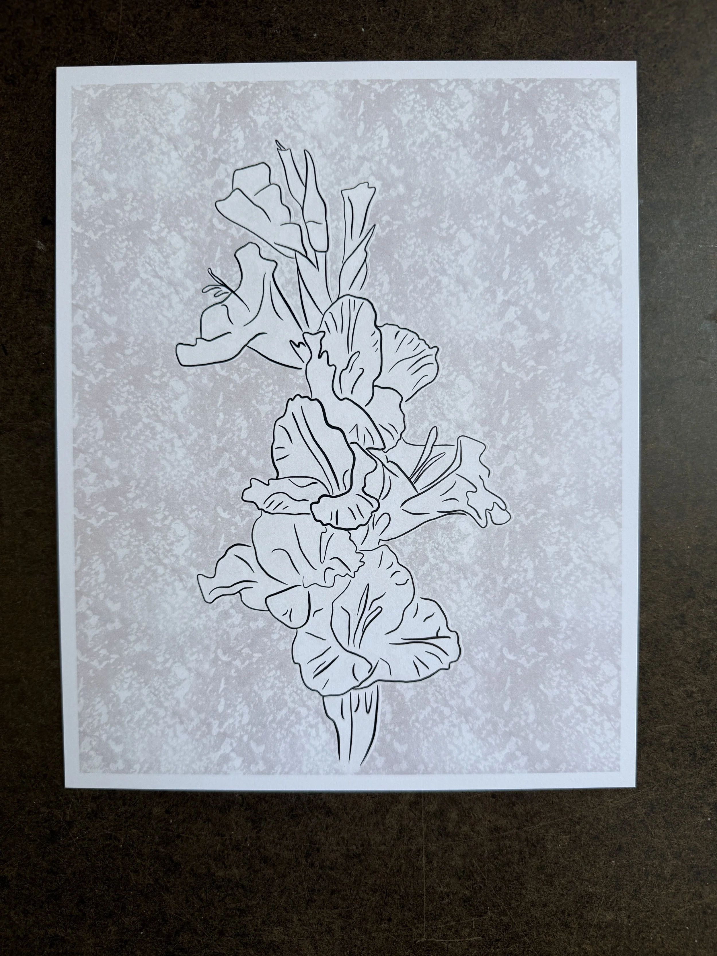 Gladiolus - Art Print