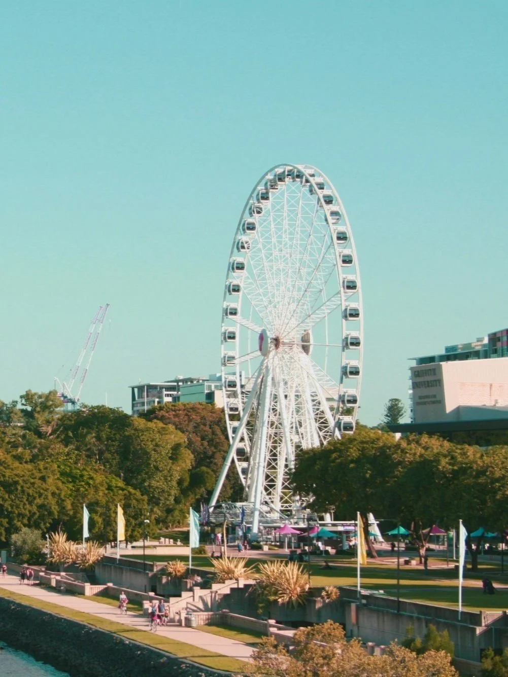 Ferris wheel in a city park with surrounding trees and pathways, against a clear blue sky.