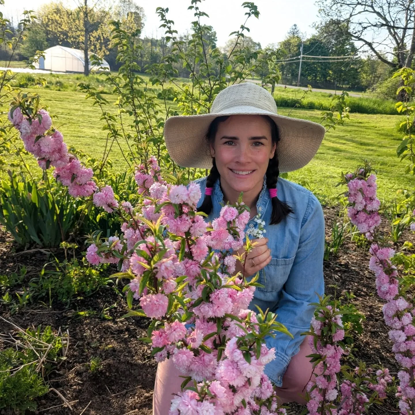 Week 21 on the farm was a temperature rollercoaster from 90 days that stressed cool loving transplants to a frost that stressed warm season transplants. Flower buds abound: delphinium, saponaria, cress and iris are all about to open. The high tunnel 