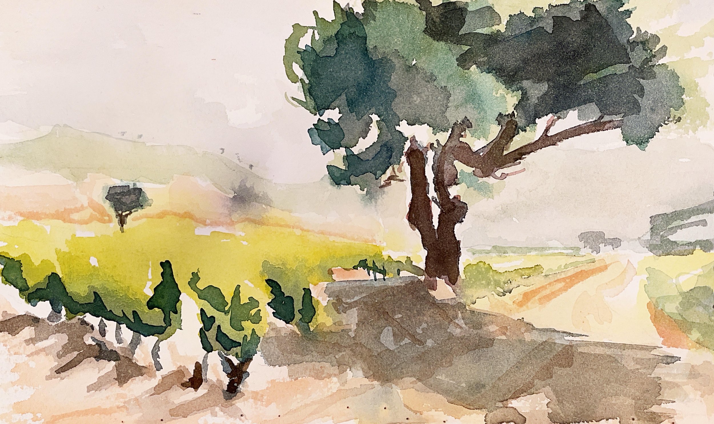 Ramatuelle - Arbre I 9x5