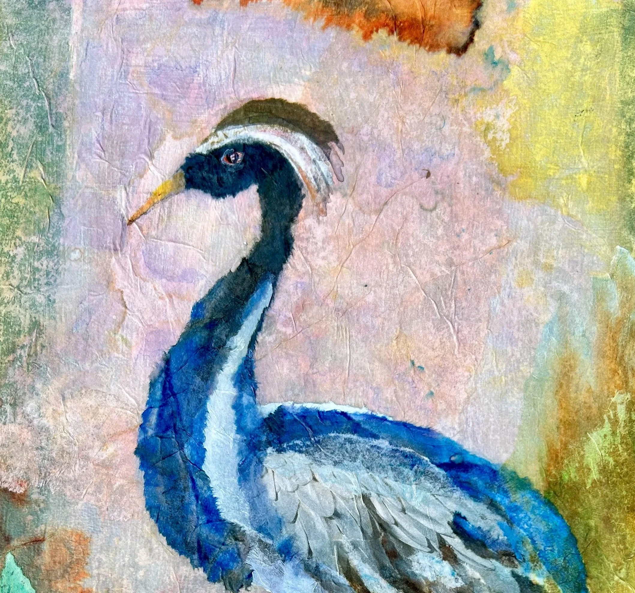 Collage Fancy Bird.jpg