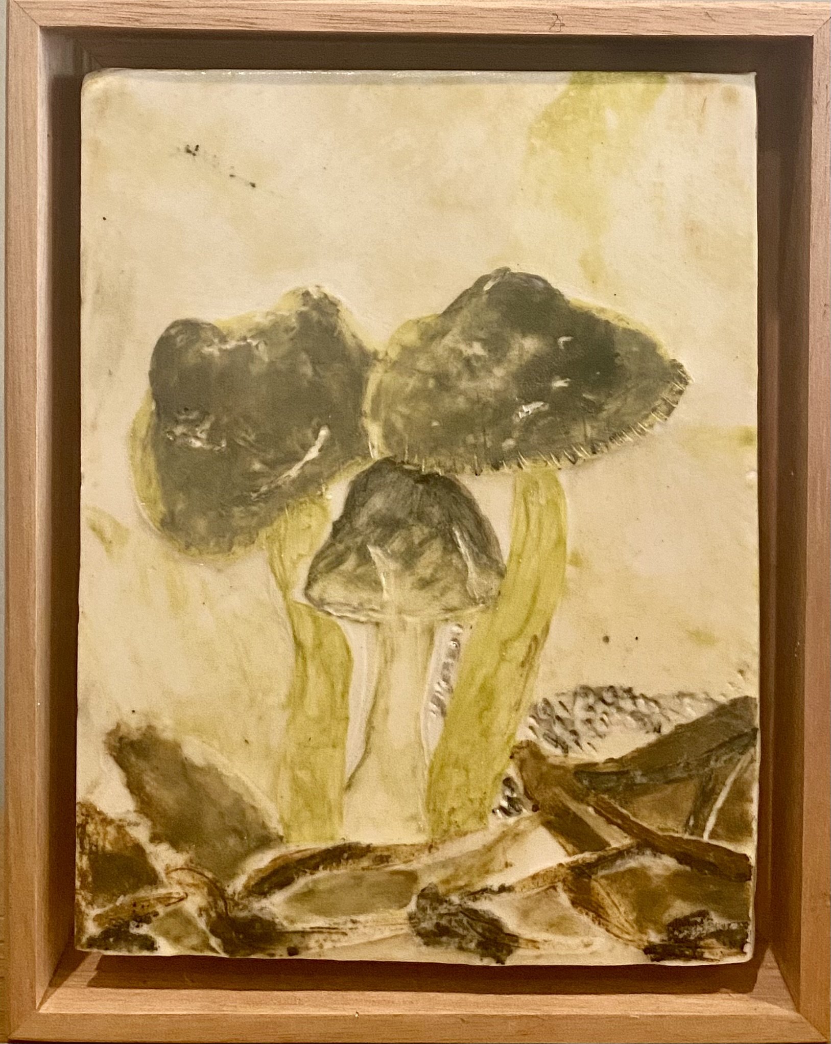 Parrot shrooms (2024) Available