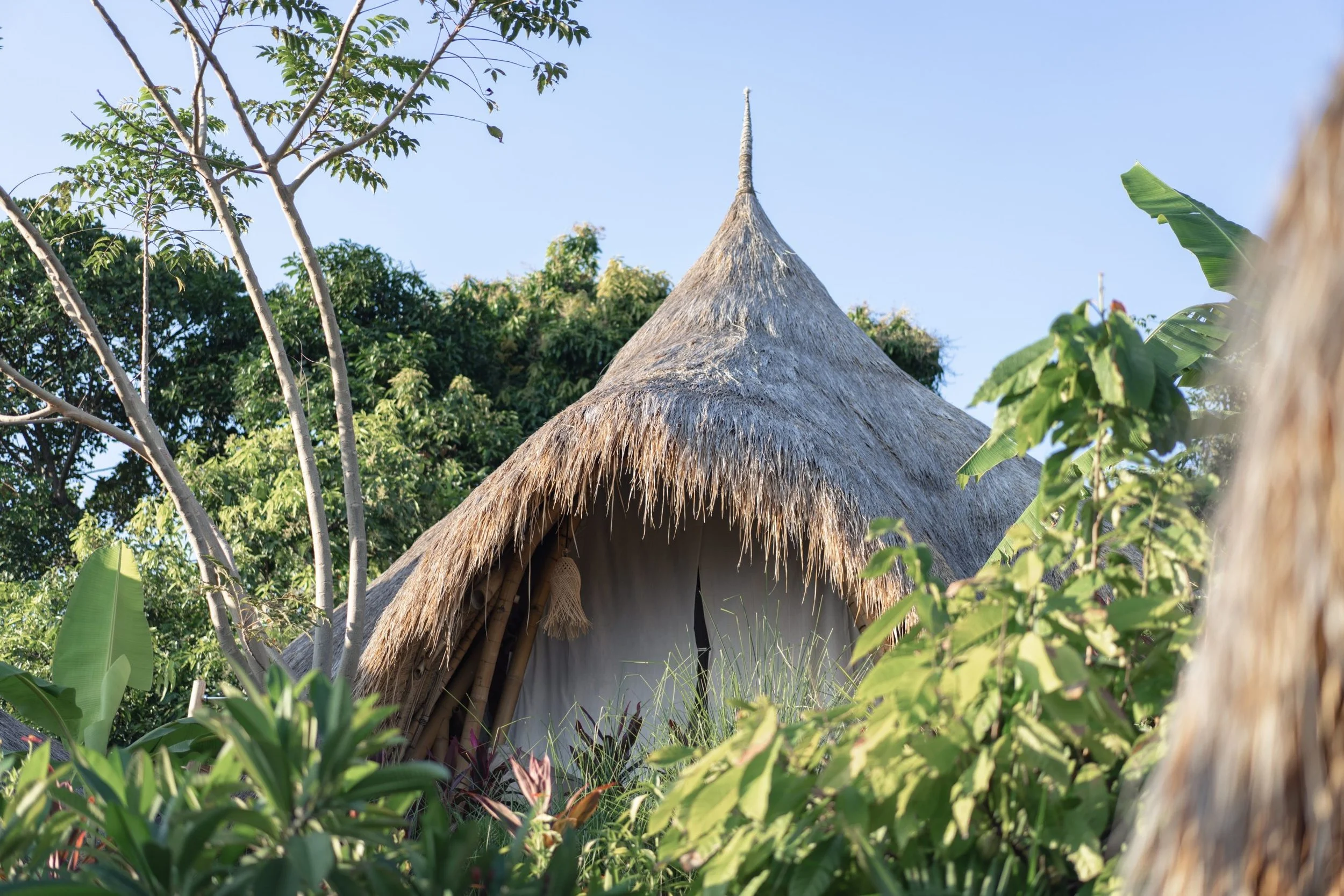 Straw hut roof surrounded by nature at Bumi Cinta retreat center in Northern Bali