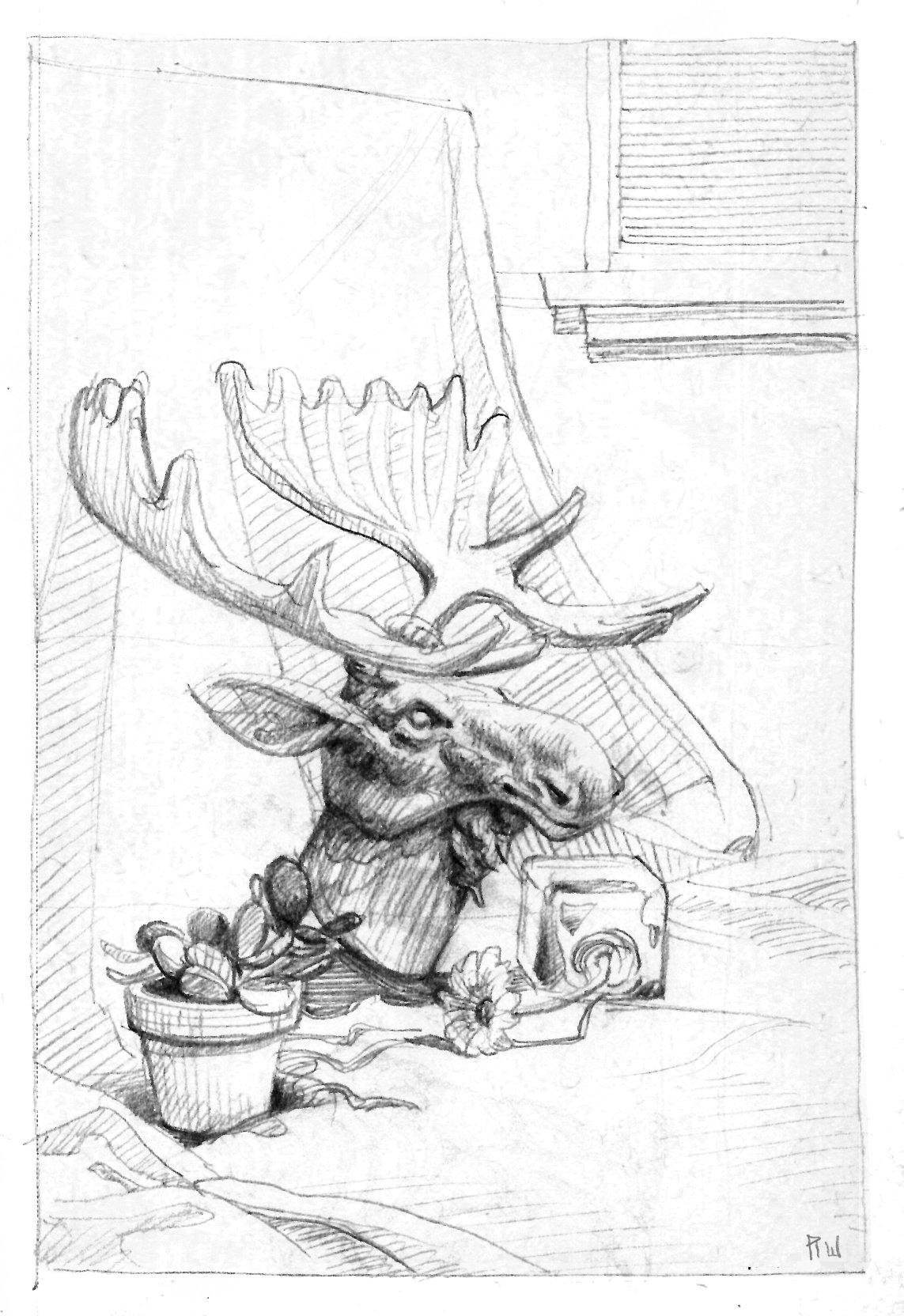 Still life - pencil