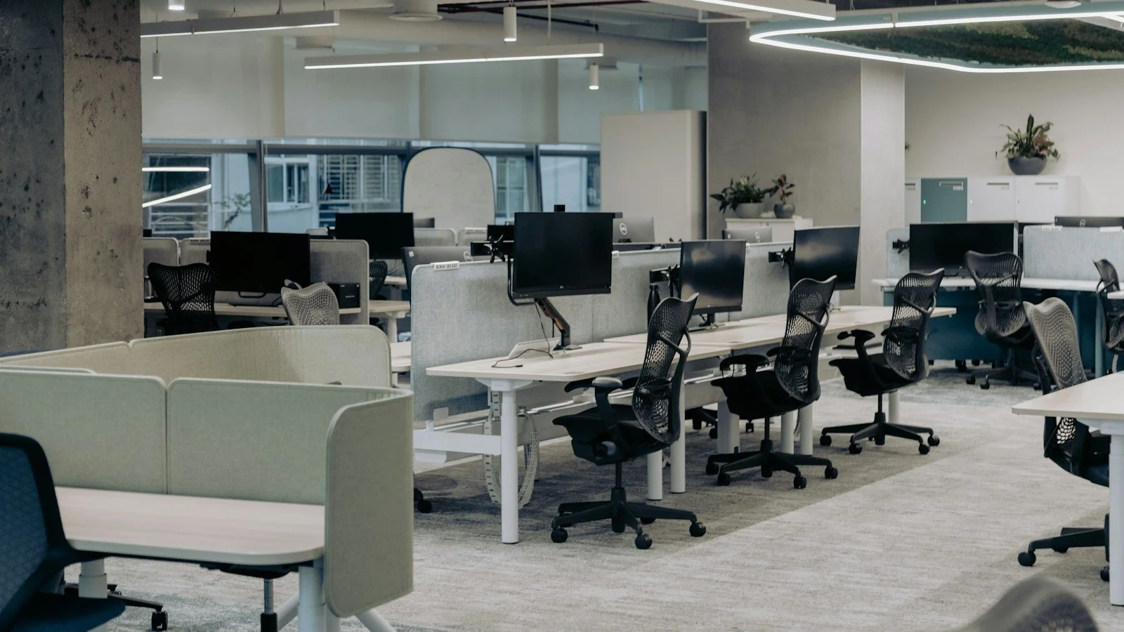 Suspensión del PERM a Microsoft, Infosys, Tata y 5 Empresas Más: Qué Deben Hacer los Trabajadores H-1B
