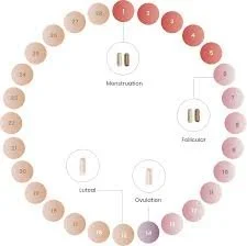 Perelel Cycle Support Pack