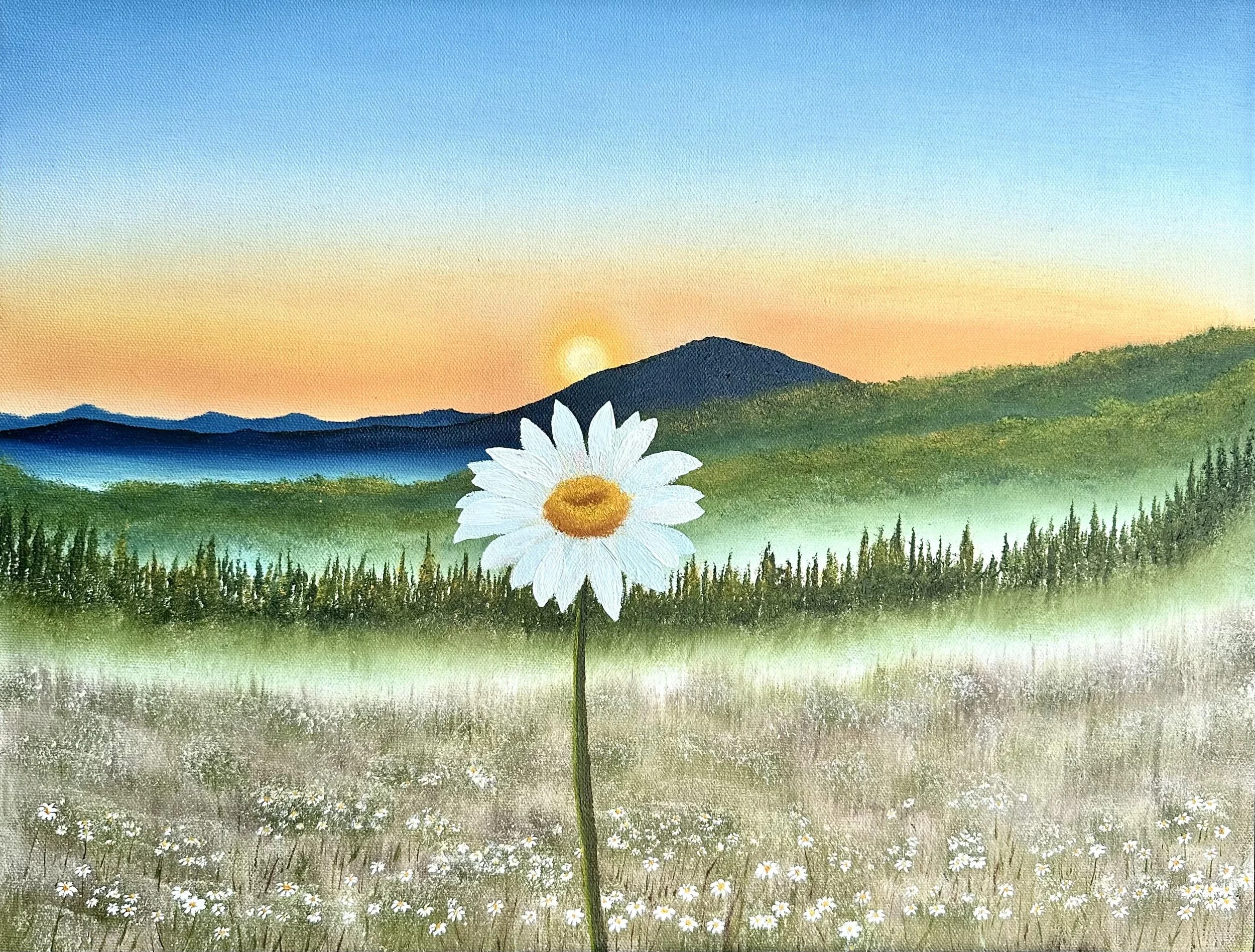Daisy Meadows II