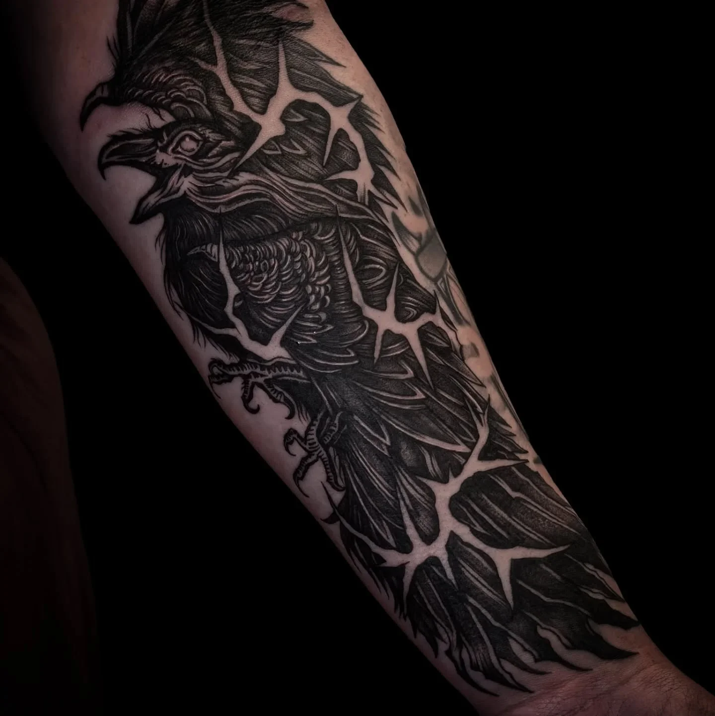 Big spicy coverup for the lovely Emma 🐦&zwj;⬛❤️&zwj;🔥

Still a few little details to add. I think birds are my favourite animals to tattoo! Thank you Emma for your trust and badass strength ❤️&zwj;🔥