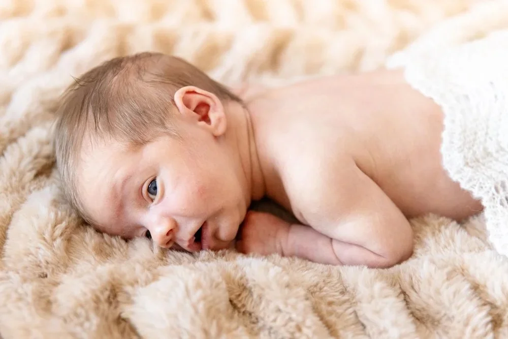 Newborn photo during in-home newborn photo session near Fort Collins, CO
