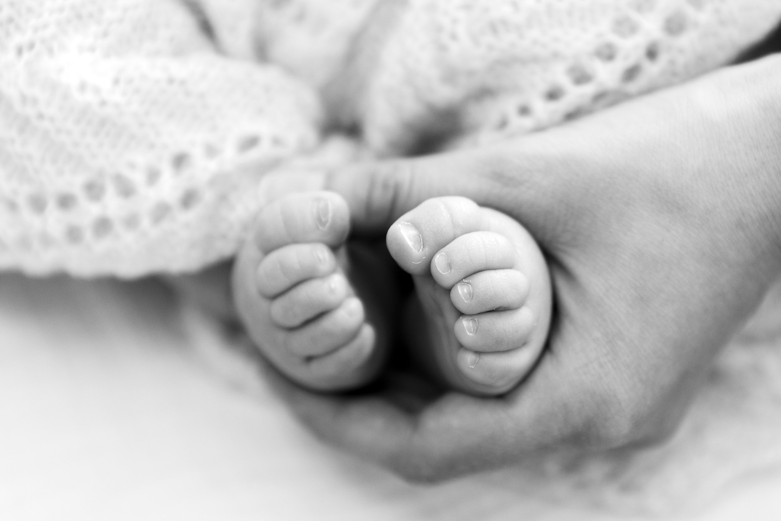 Studio vs In-Home Newborn Photography in fort collins