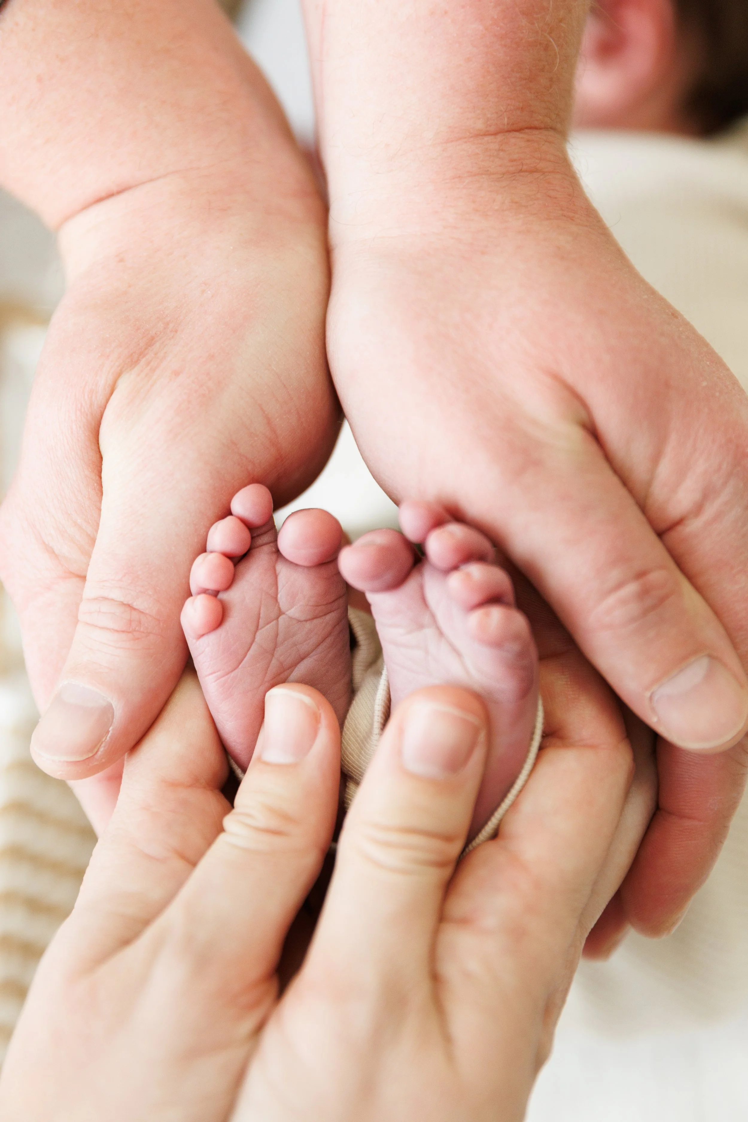 Close up of baby's feet during a studio newborn photography session near Fort Collins, Colorado.