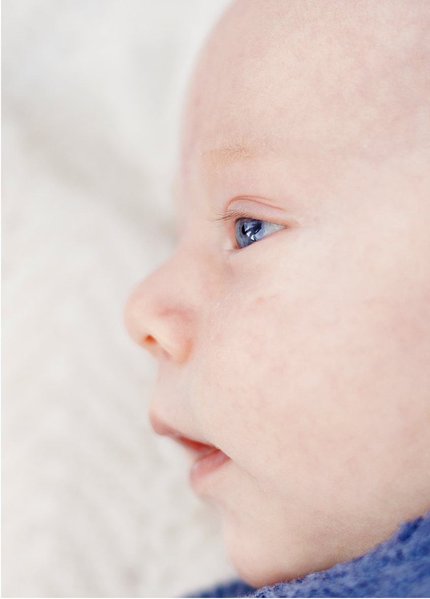 Newborn detail shot during baby photoshoot in Loveland, Colorado