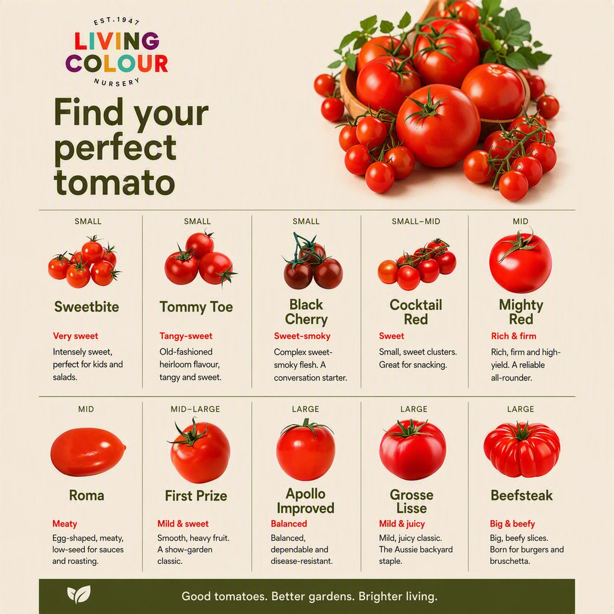 How to get tomatoes in early in Adelaide