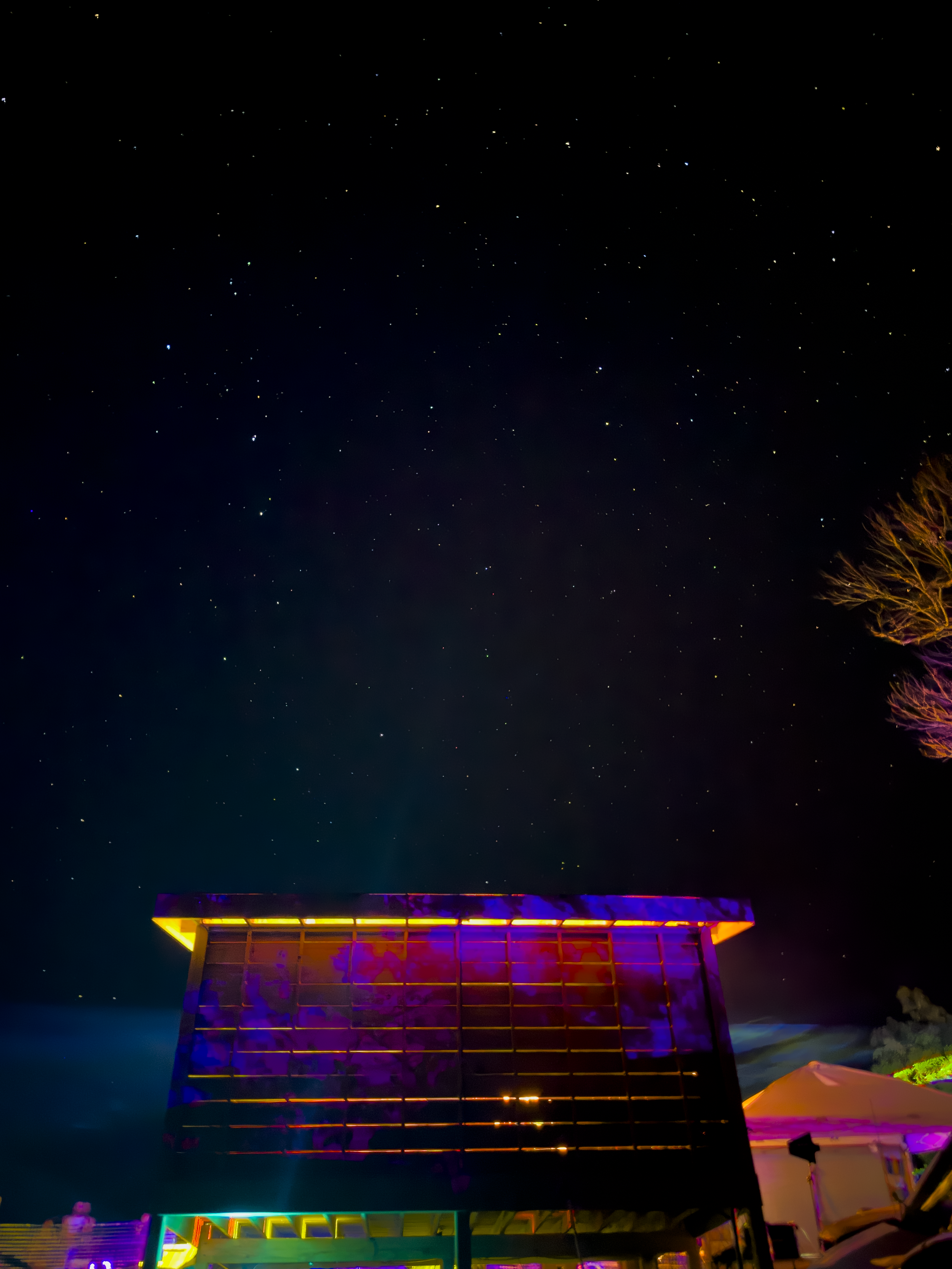 Earth Medicine Community & Consciousness