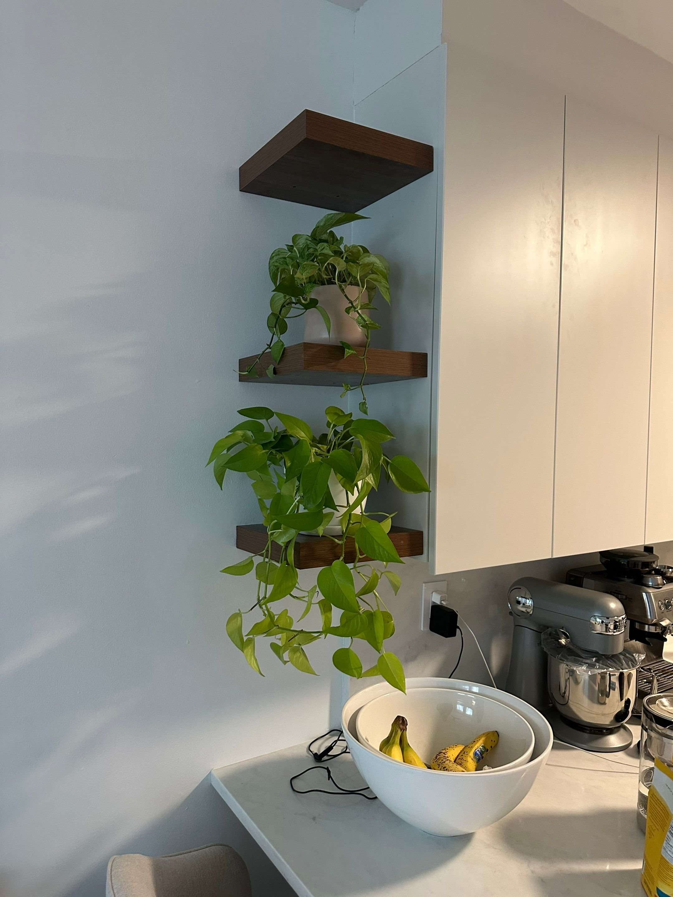 Two wooden shelves with a potted plant on the middle shelf, floating on a light-colored wall above a kitchen counter with bananas in a white bowl, a coffee machine, and a stand mixer.