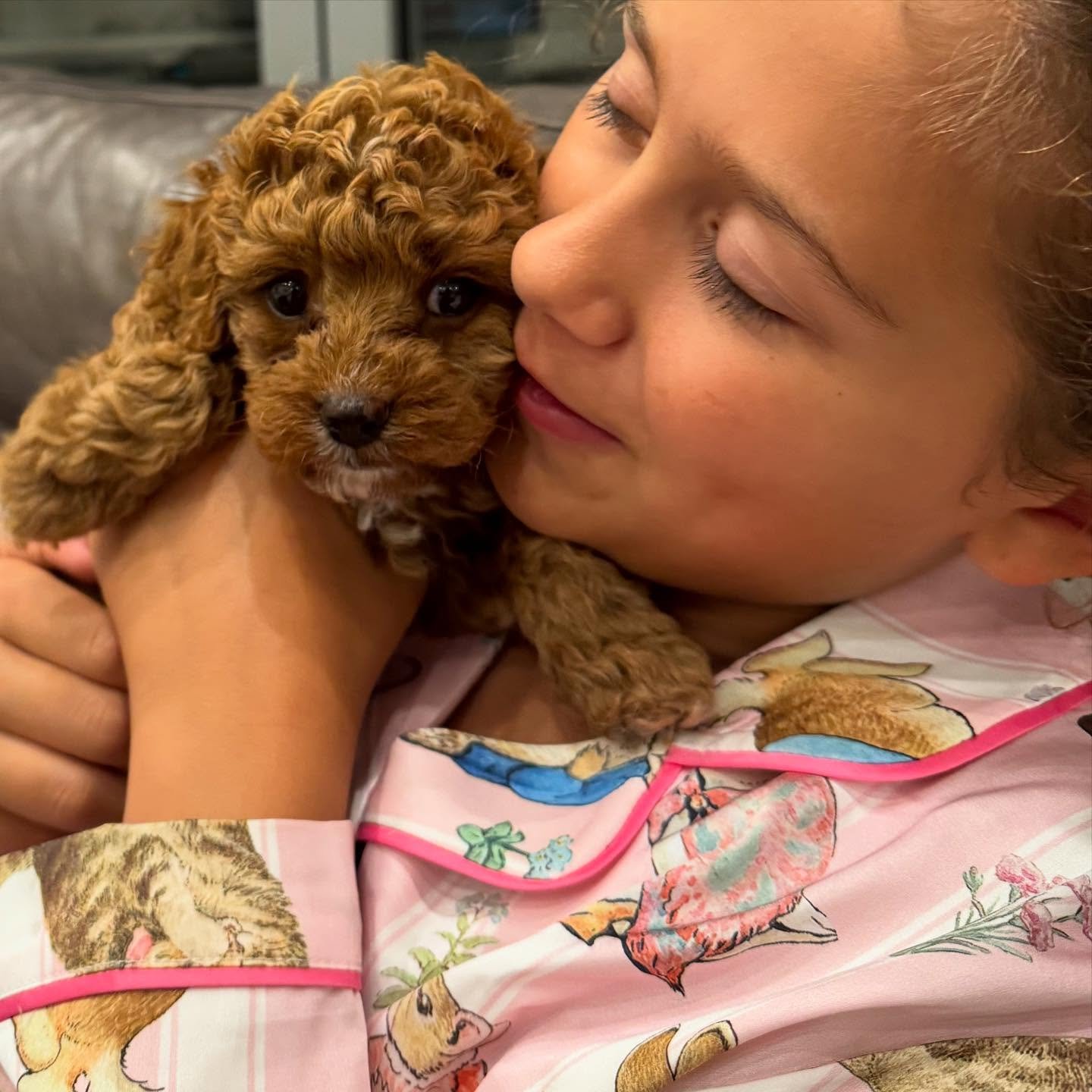 This little guy is ready to leave us in under 2 weeks to a beautiful family. He didn&rsquo;t even make it to the website as he was reserved early on. What a lucky little guy he is 💖