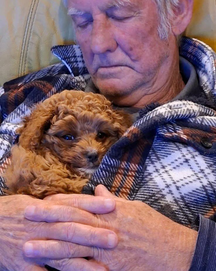 This is Wayne and &ldquo;Beatle&rdquo; 🥹

 #melting 🥰 we don&rsquo;t need much of a caption because this photo says it all. There is nothing better for us to see than when one of our puppies finds their dream forever home 

.
.
.
.
. 
#spoiledrotte