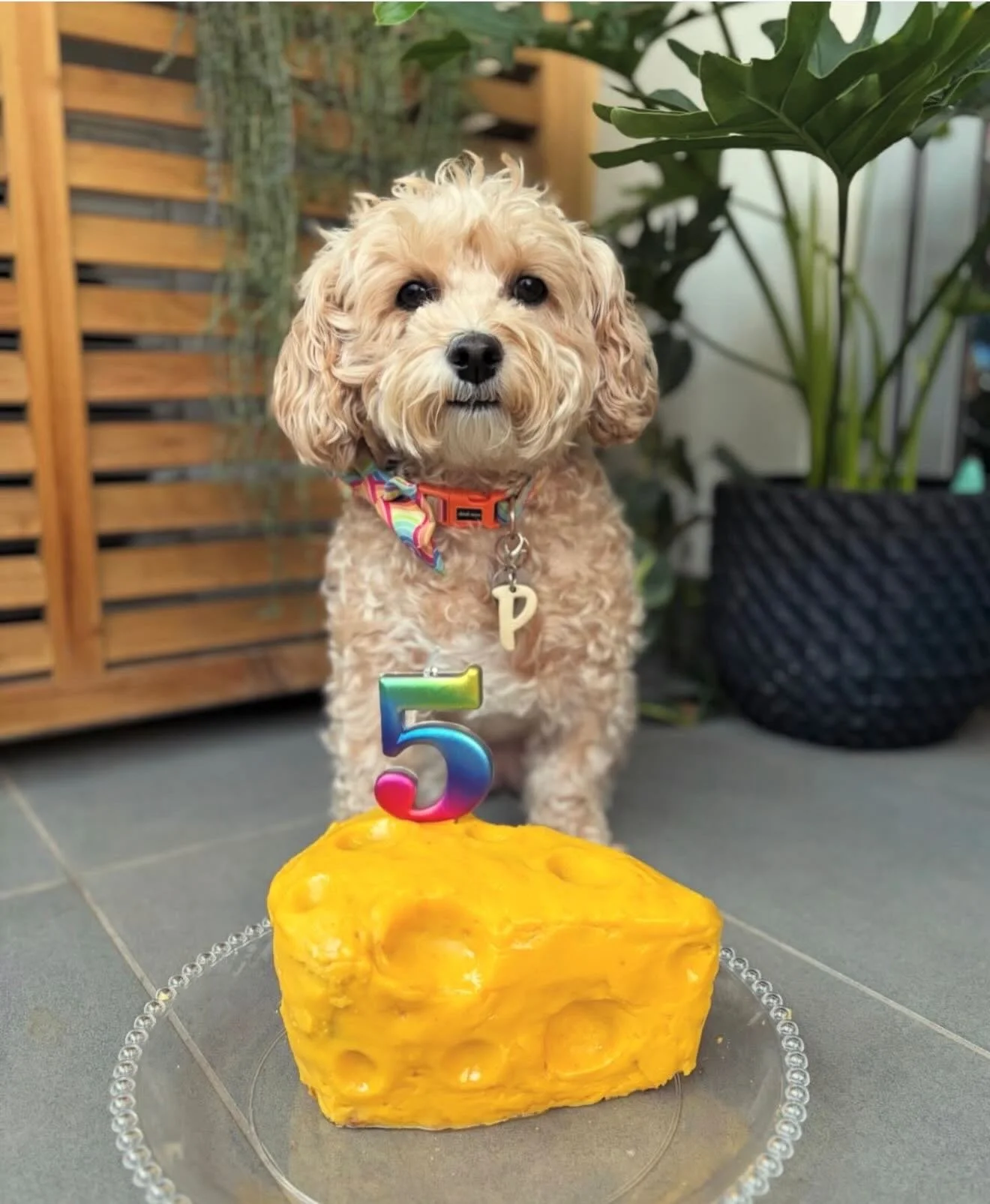 Happy birthday to some of our 5 year olds!!!! ❤️❤️❤️