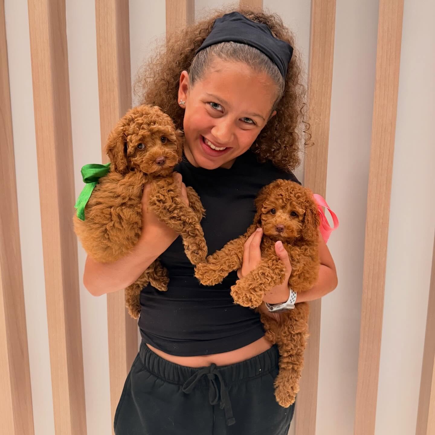 Our puppies leave us this weekend for their new families 💖