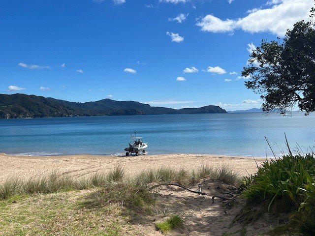 Little Bay Corormandel Peninsula - Harakeke Cottage NZ.jpg