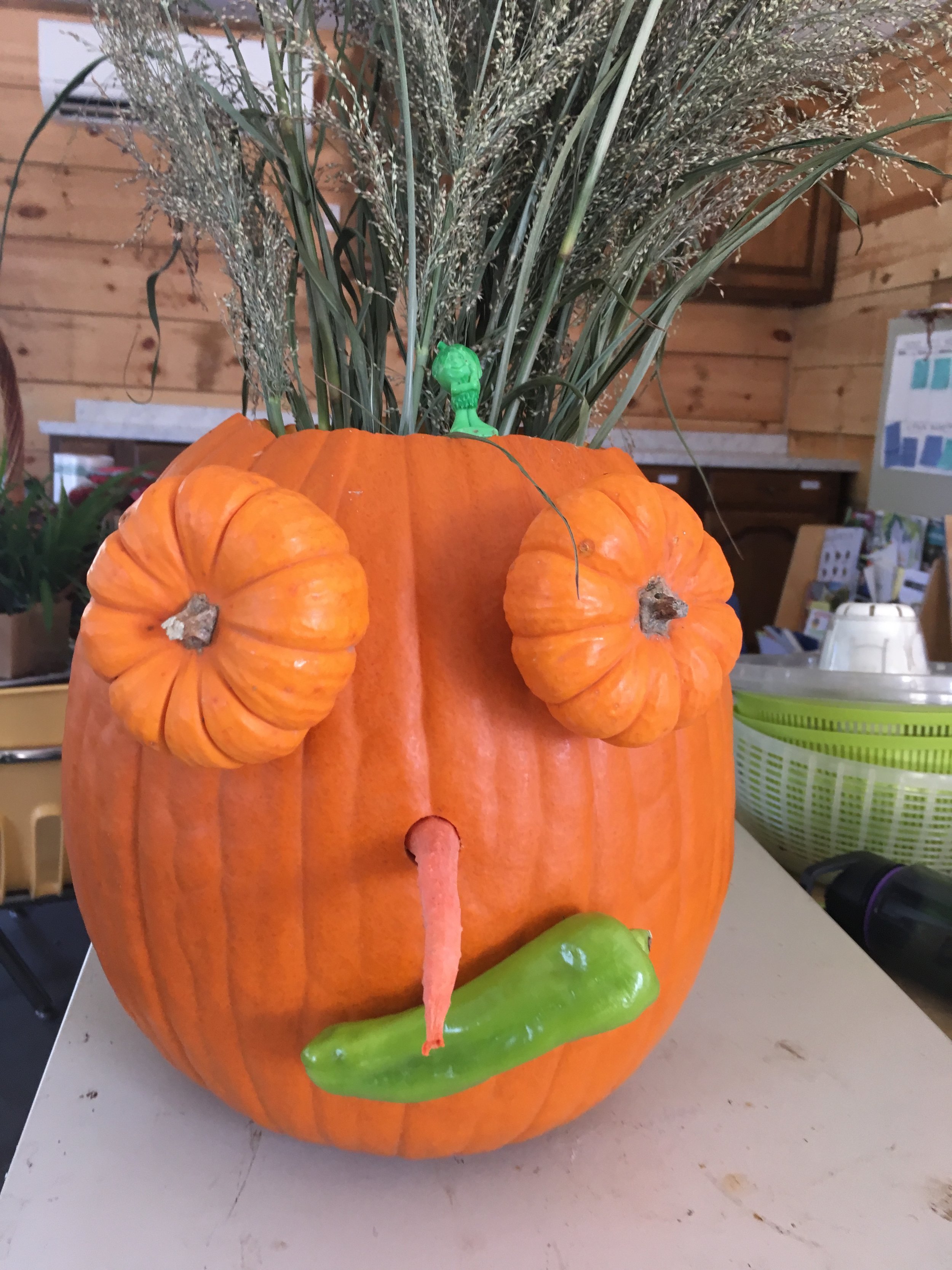 Garden Arts Special