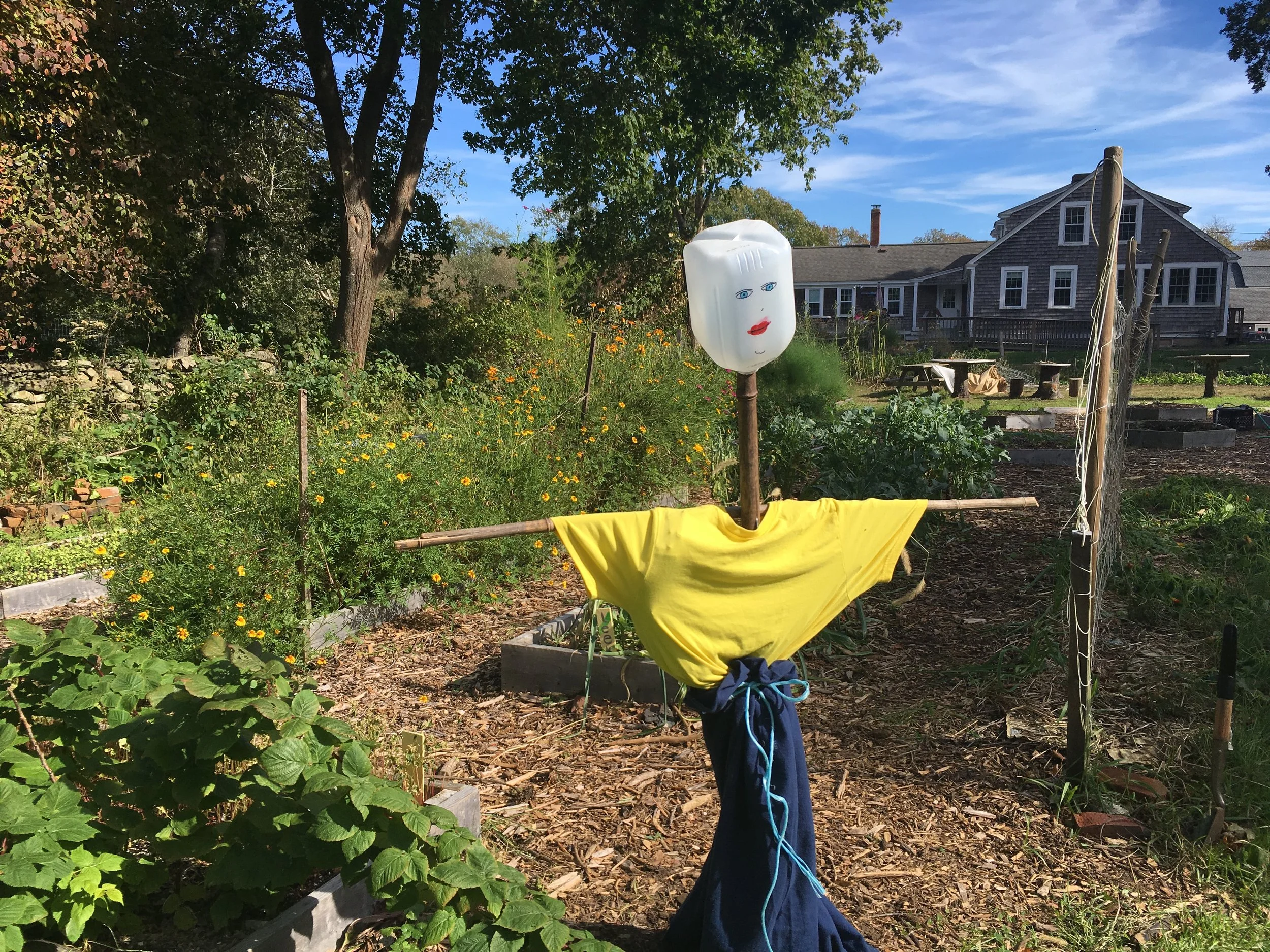 Garden STEM Special
