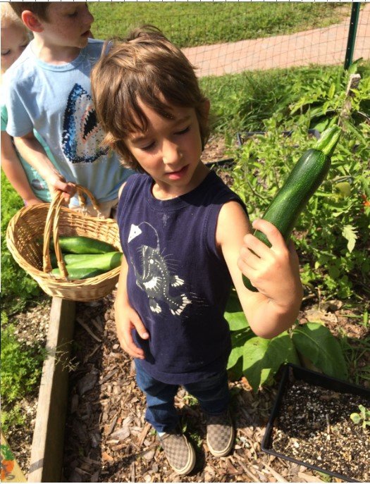 Junior Garden Chefs