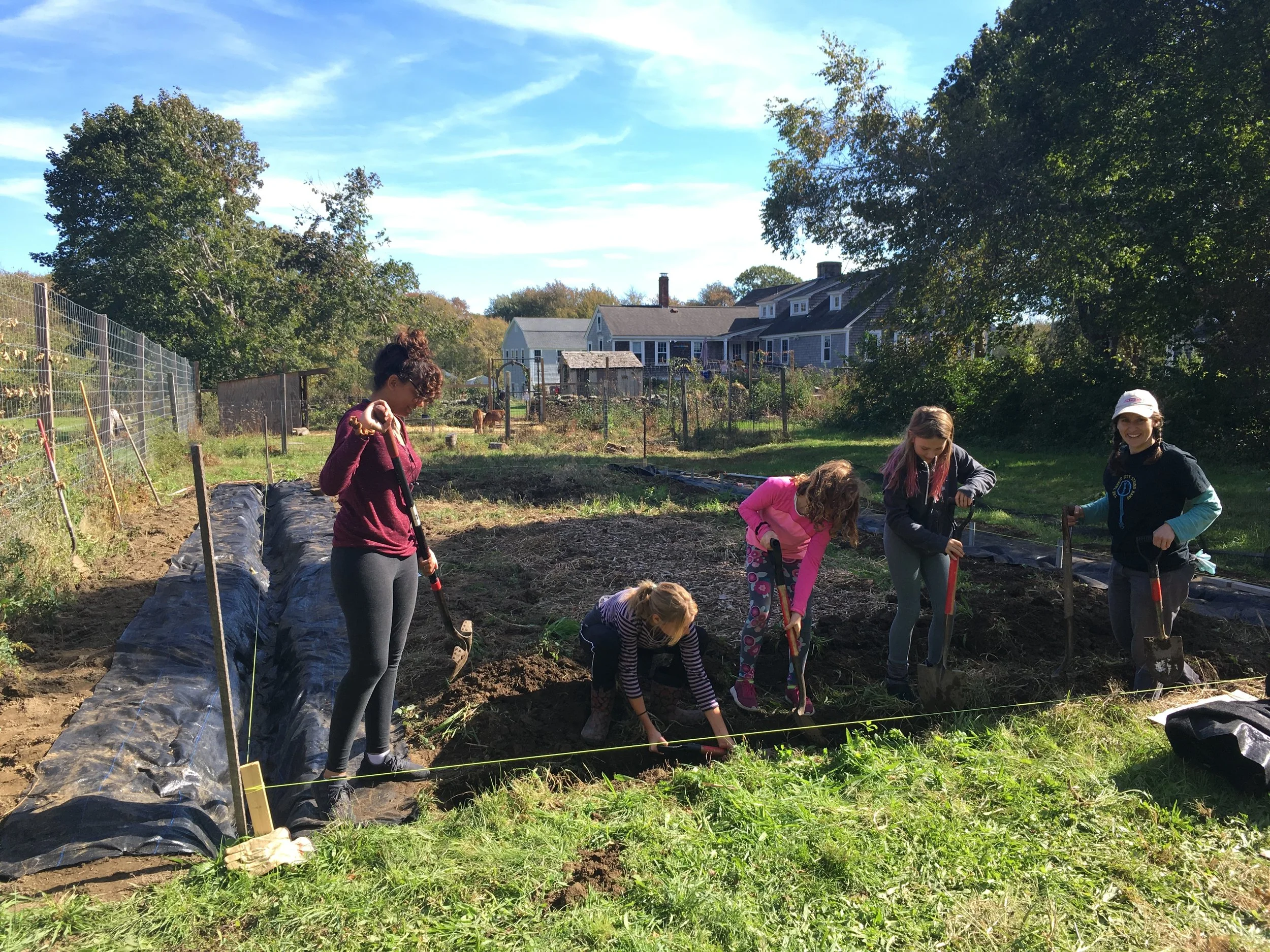 Farm Team Building