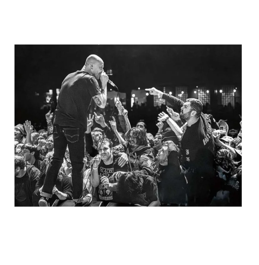 rear cover touche.jpg